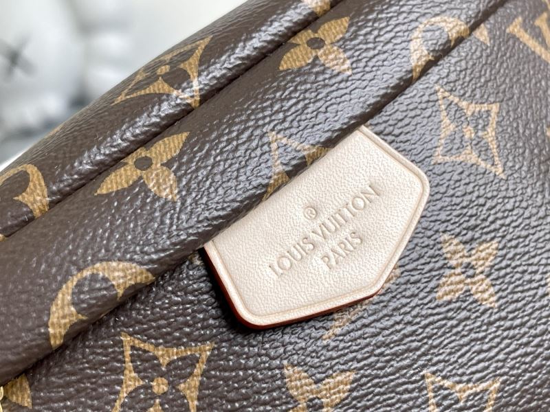 Louis Vuitton Waist Chest Packs
